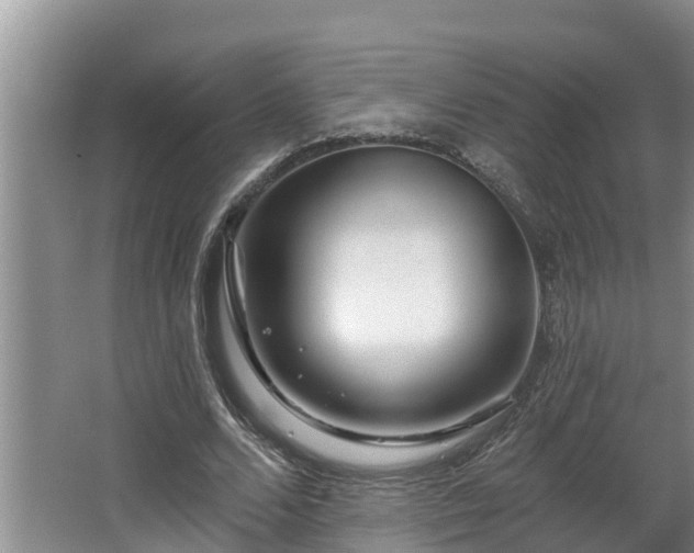 X0000067860680200604171251