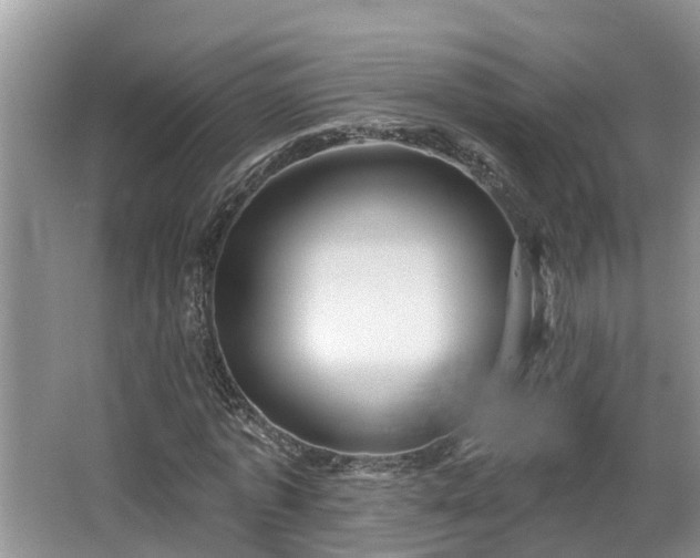 X0000067860773200604171249