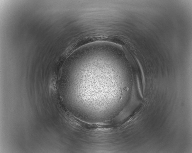 X0000067860867200604171247