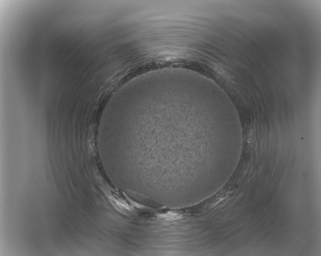 X0000067860868200604171247