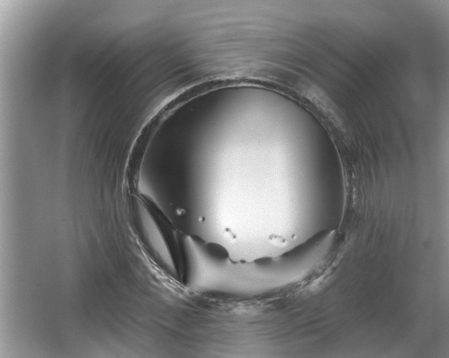 X0000067860876200604171247