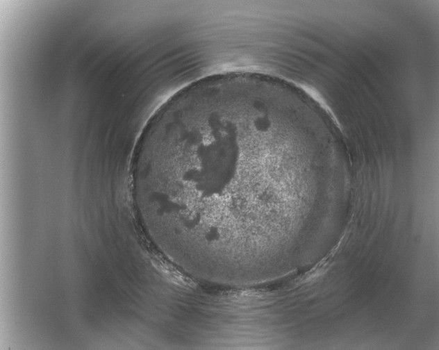 X0000067860879200604171247