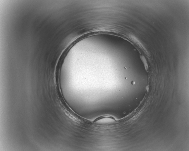 X0000067860884200604171247