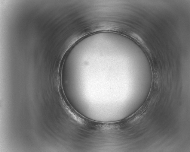 X0000067860890200604171247