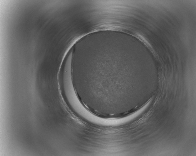 X0000067860891200604171247