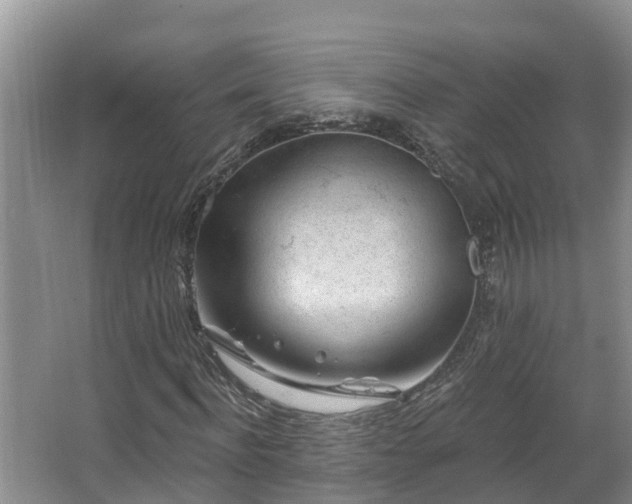 X0000067860916200604171246
