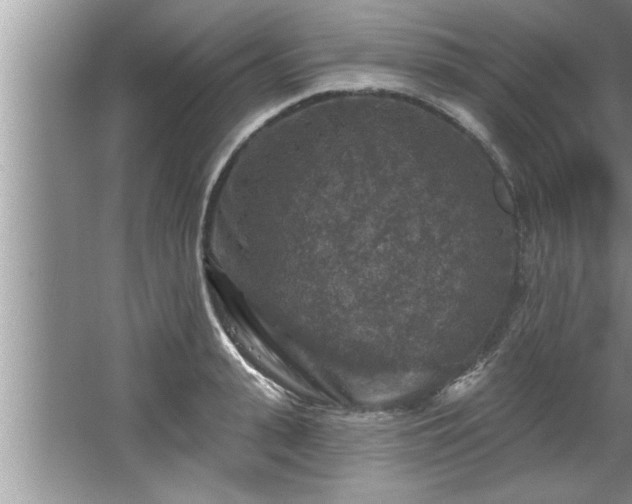 X0000067860943200604171246