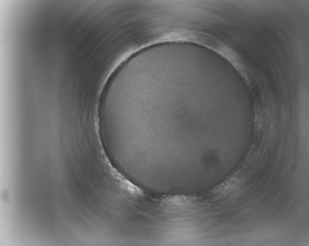 X0000067860950200604171247