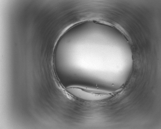 X0000067860956200604171247