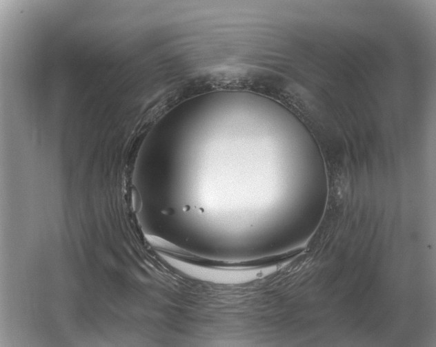 X0000067860964200604171246