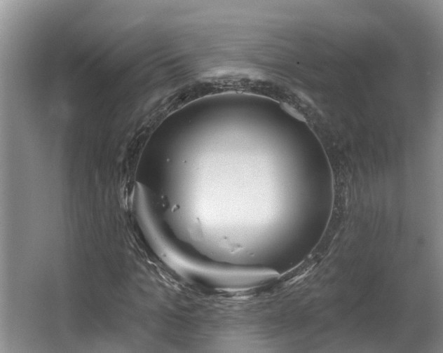 X0000067860965200604171246