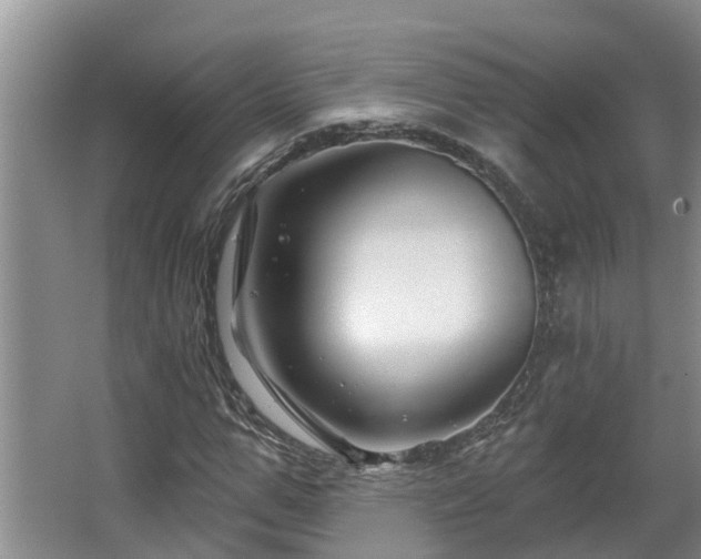 X0000067860967200604171246