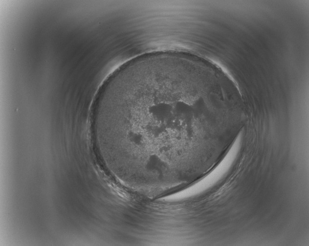 X0000067860975200604171246