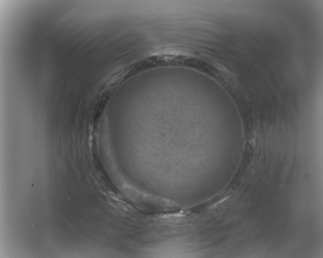 X0000067861014200604171244