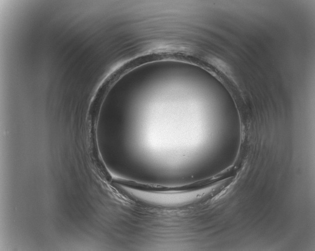 X0000067861021200604171245
