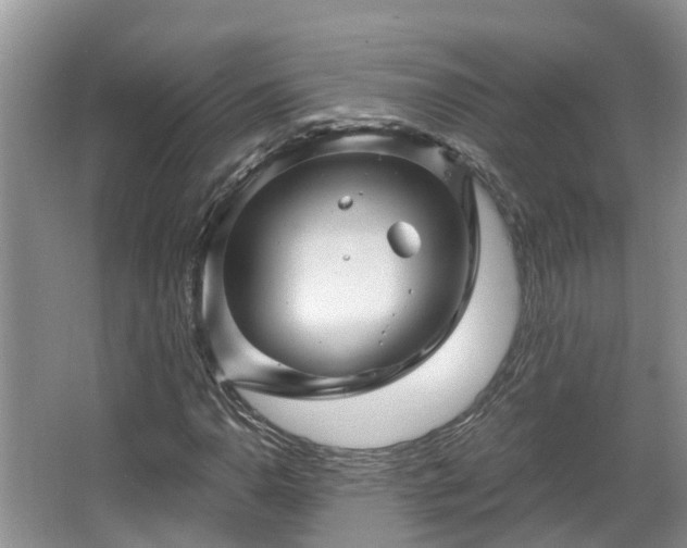 X0000067861110200604171243