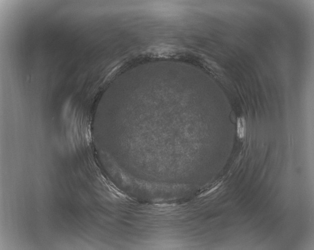 X0000067861155200604171243