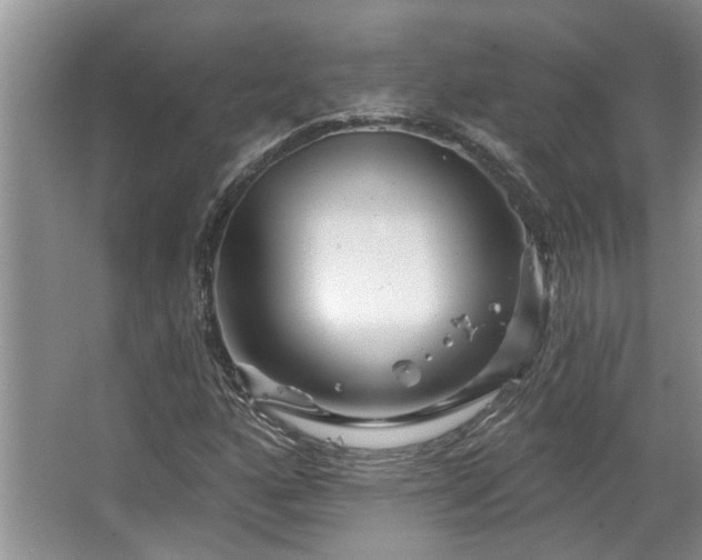 X0000067861160200604171243