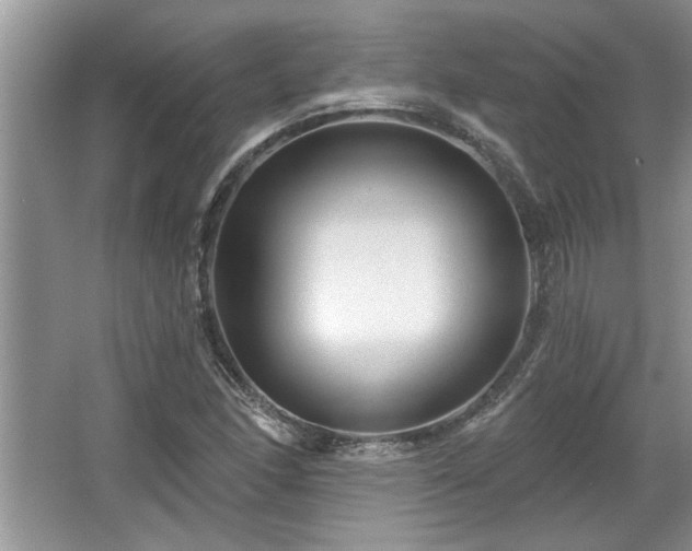 X0000067861166200604171242