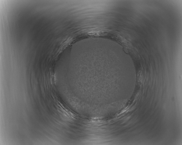 X0000067861202200604171241