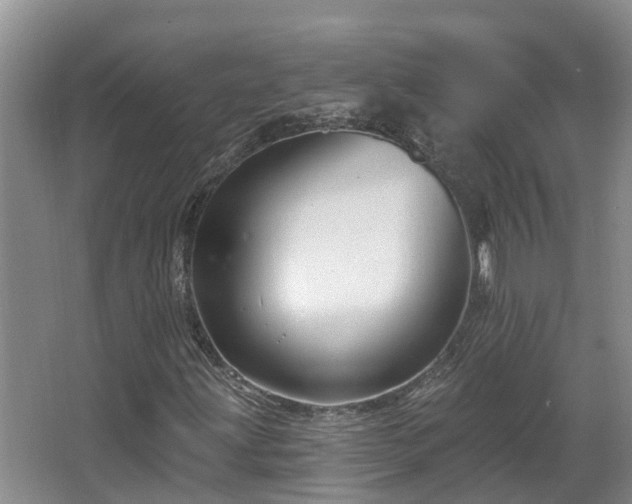 X0000067861203200604171241