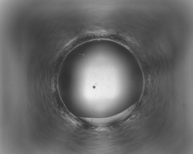 X0000067861205200604171241