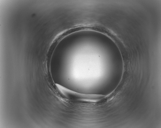 X0000067861214200604171241