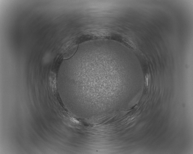 X0000067861251200604171241