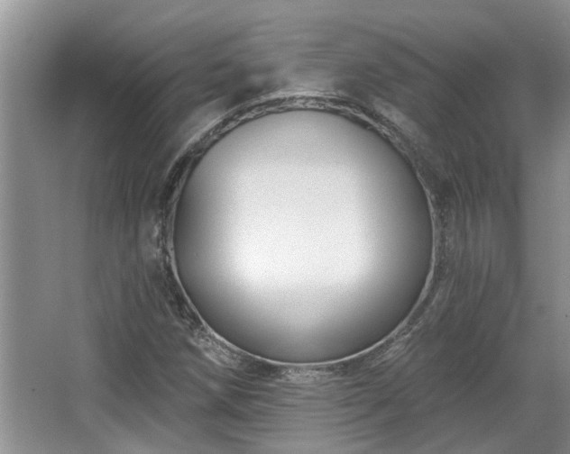 X0000067861258200604171241