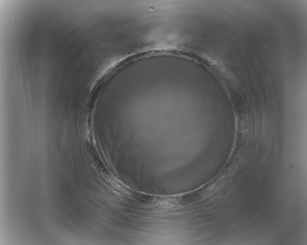 X0000067861262200604171241