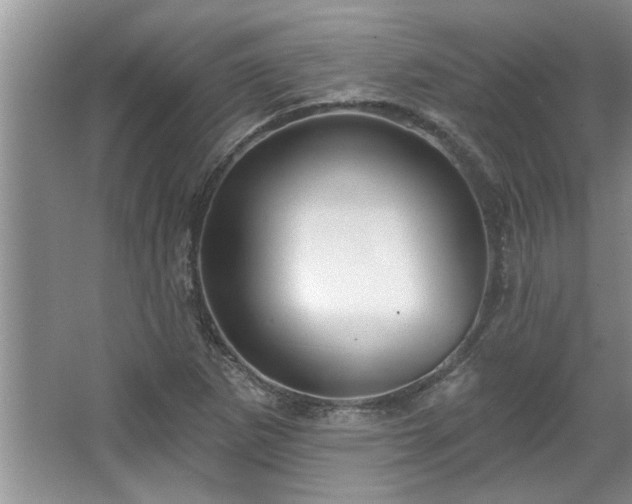 X0000067861265200604171241