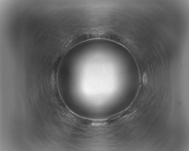 X0000067861299200604171240
