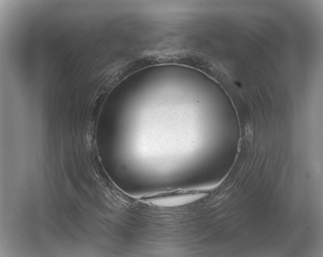X0000067861300200604171240