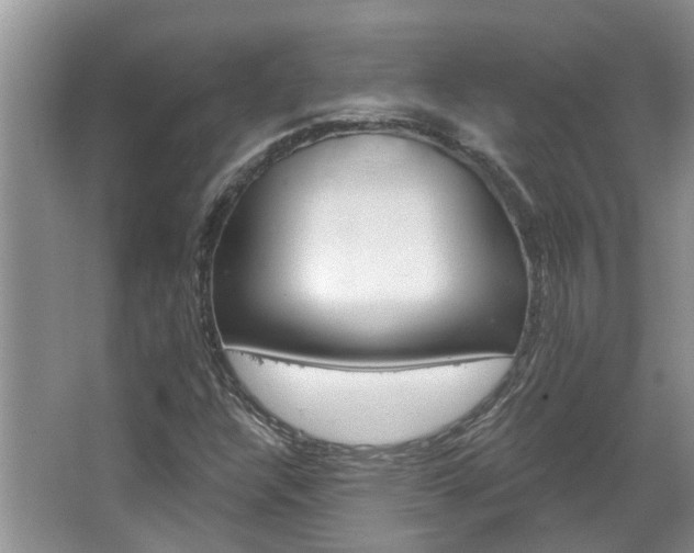 X0000067861304200604171240
