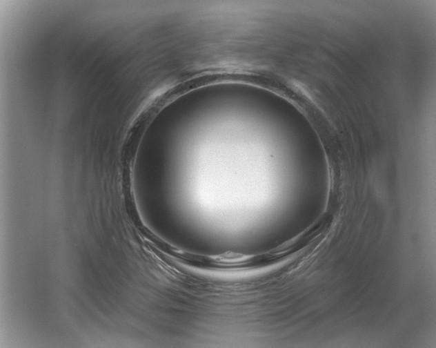 X0000067861307200604171240