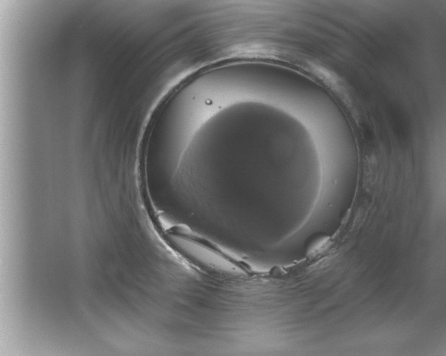 X0000067861331200604171240