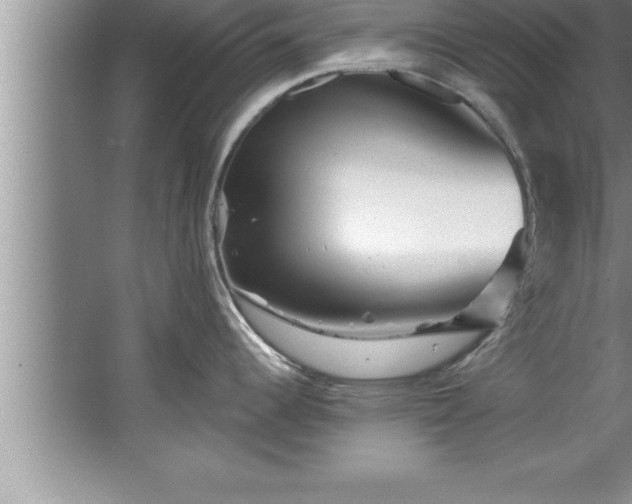 X0000067861344200604171240