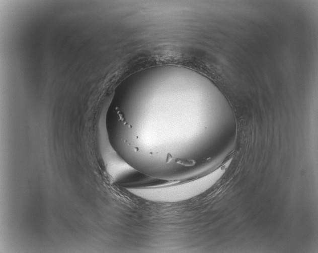 X0000067861345200604171239