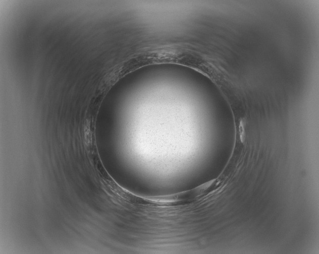 X0000067861395200604171238