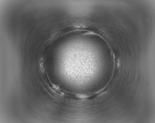 X0000067861396200604171238