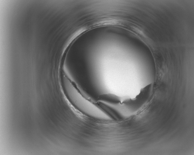 X0000067861426200604171238