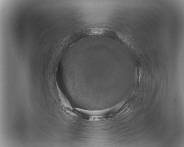 X0000067861441200604171238