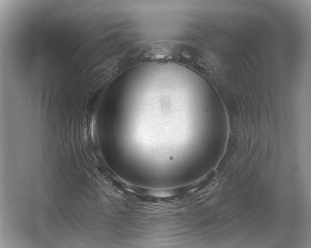 X0000067861442200604171238