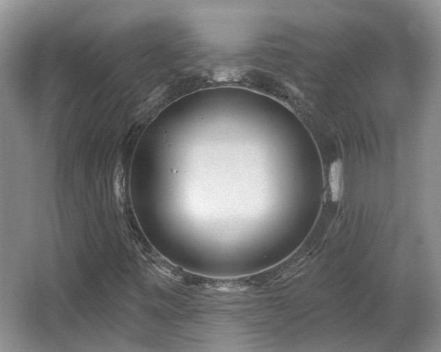X0000067861443200604171238