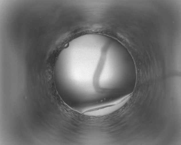 X0000067861447200604171238