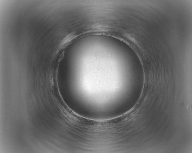 X0000067861451200604171238