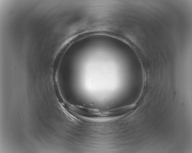X0000067861452200604171238