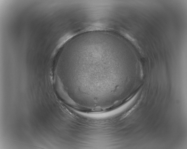 X0000067861453200604171238