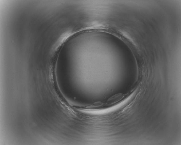 X0000067861455200604171238