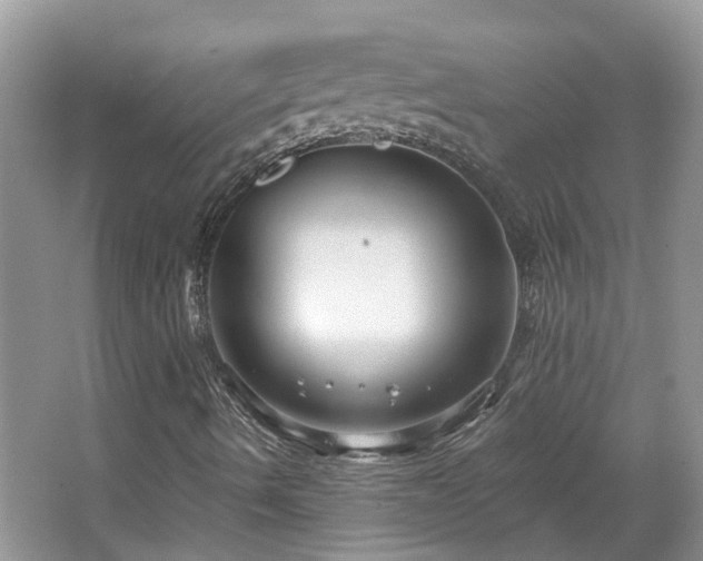 X0000067861490200604171236